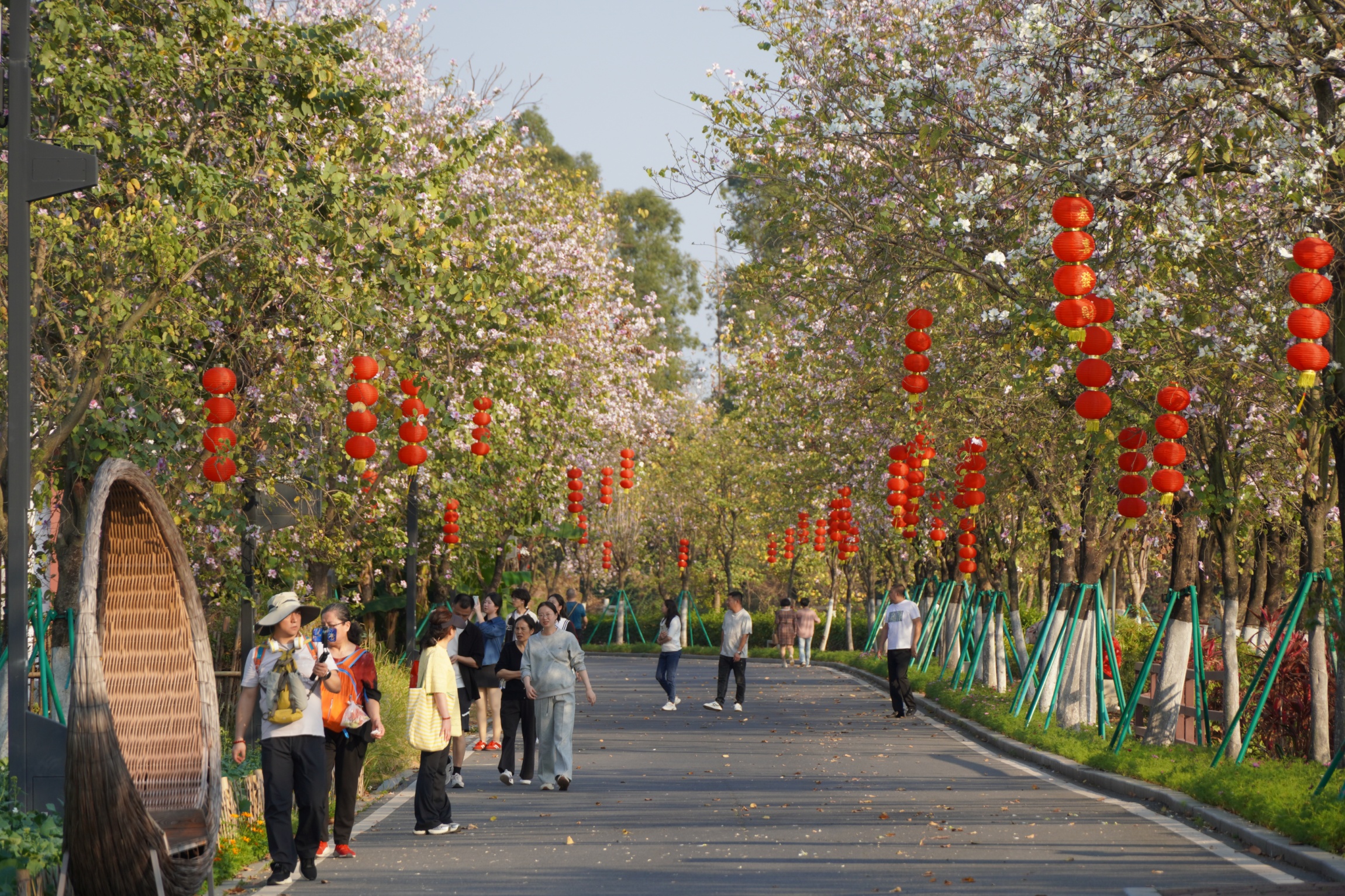廣州海珠濕地，年味濃濃。人民網記者 王雅蝶攝