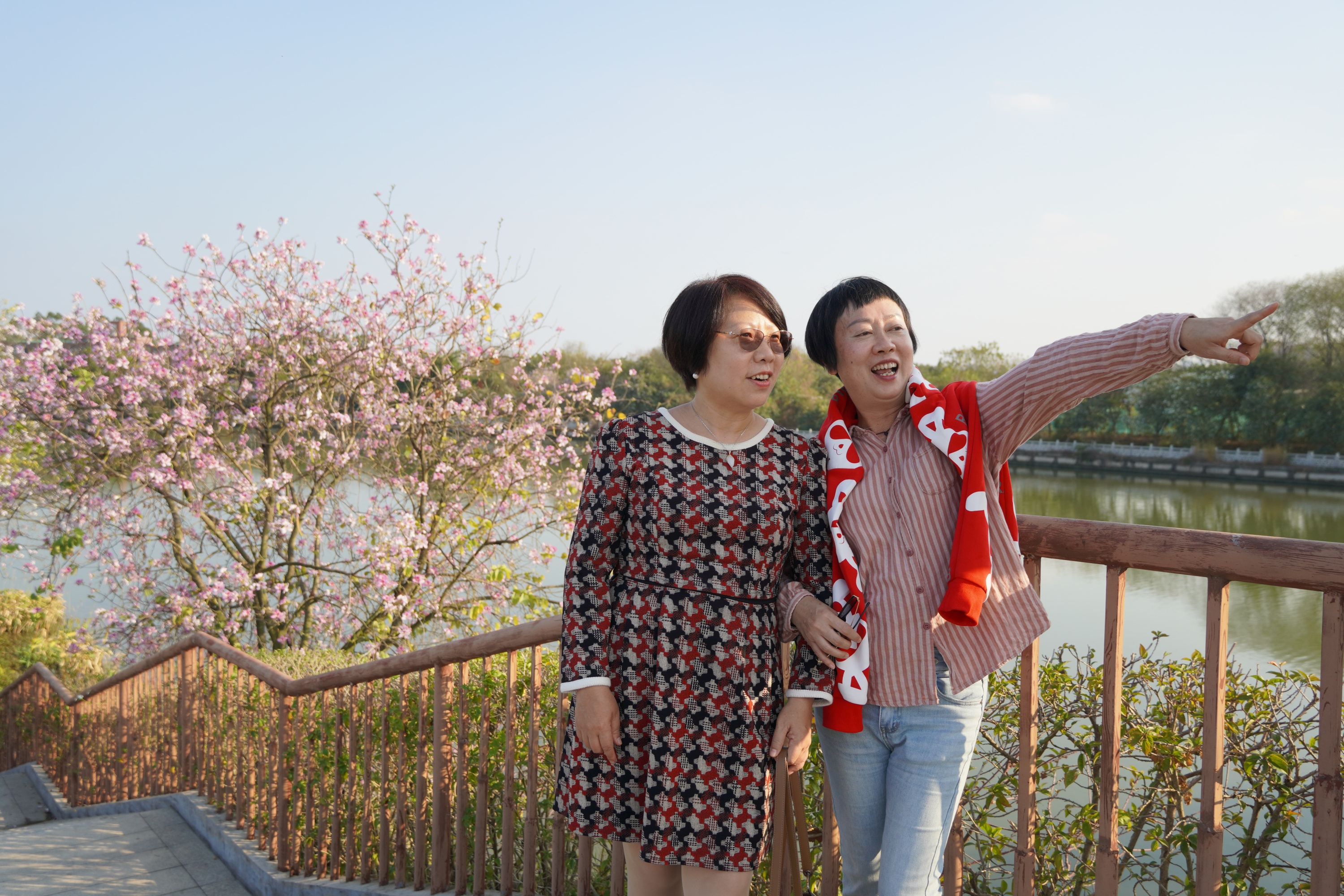 春節假期，市民游客相約來廣州海珠濕地花海游玩。人民網記者 王雅蝶攝