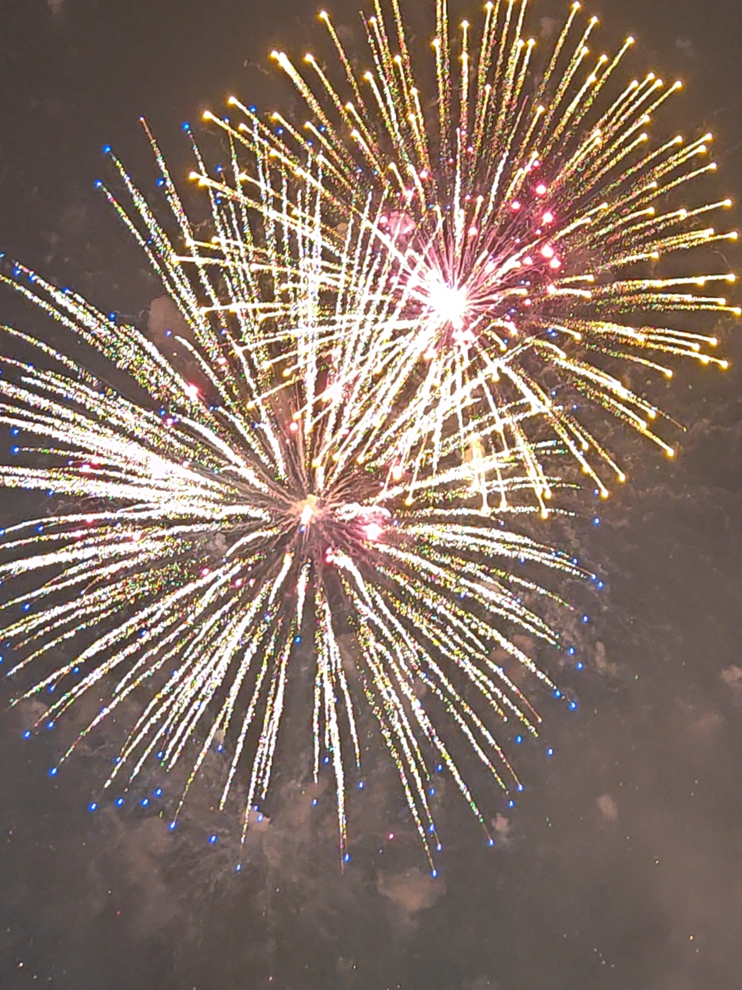 煙花匯演現場，焰火綻放，滿載祝福。人民網記者 王雅蝶攝