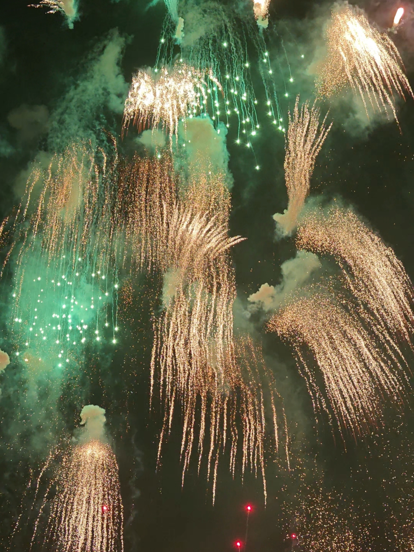 煙花匯演現場，焰舞金春。人民網記者 王雅蝶攝