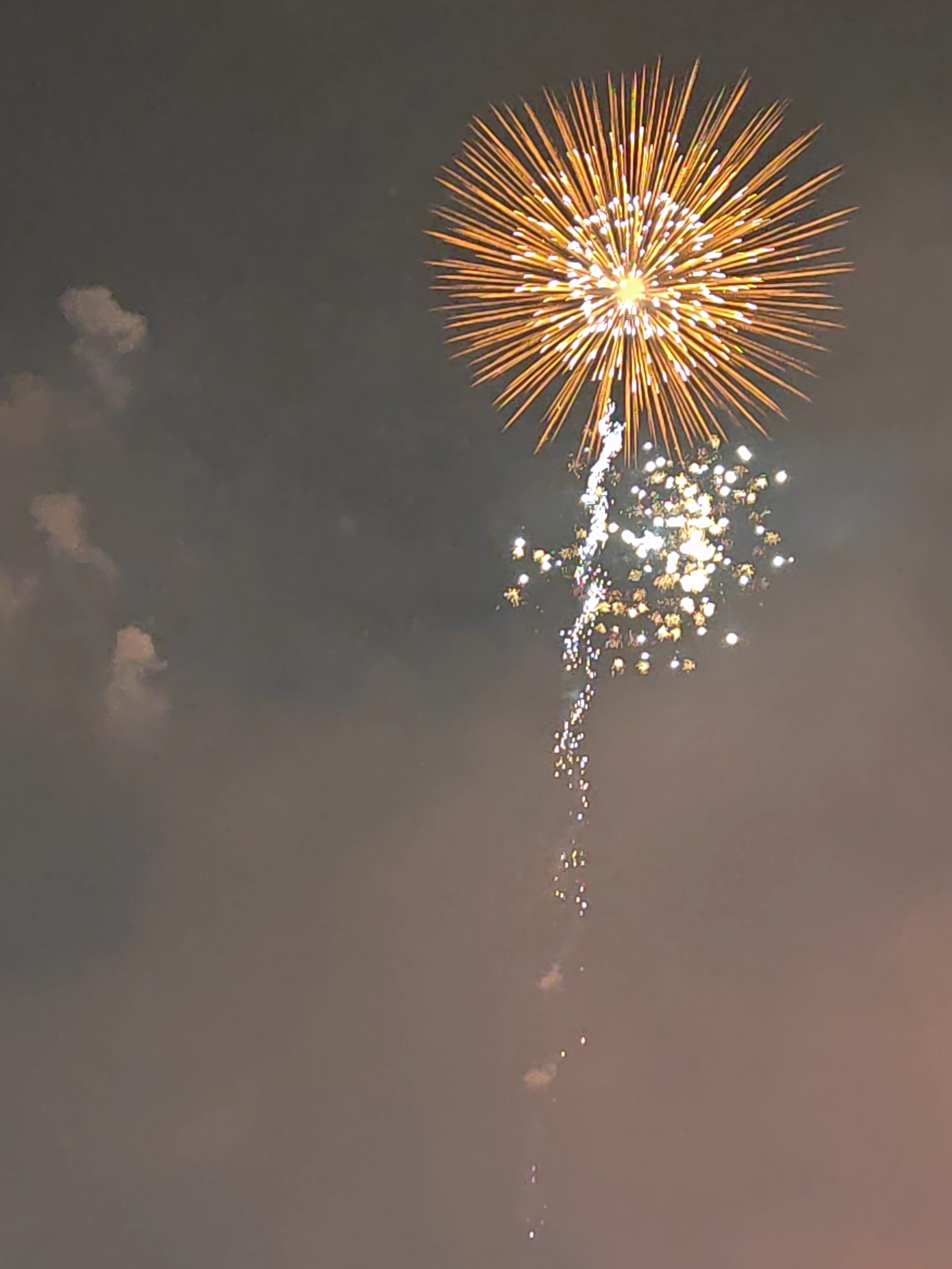 煙花匯演現場，焰火綻放，宛如一朵向日葵。人民網記者 王雅蝶攝