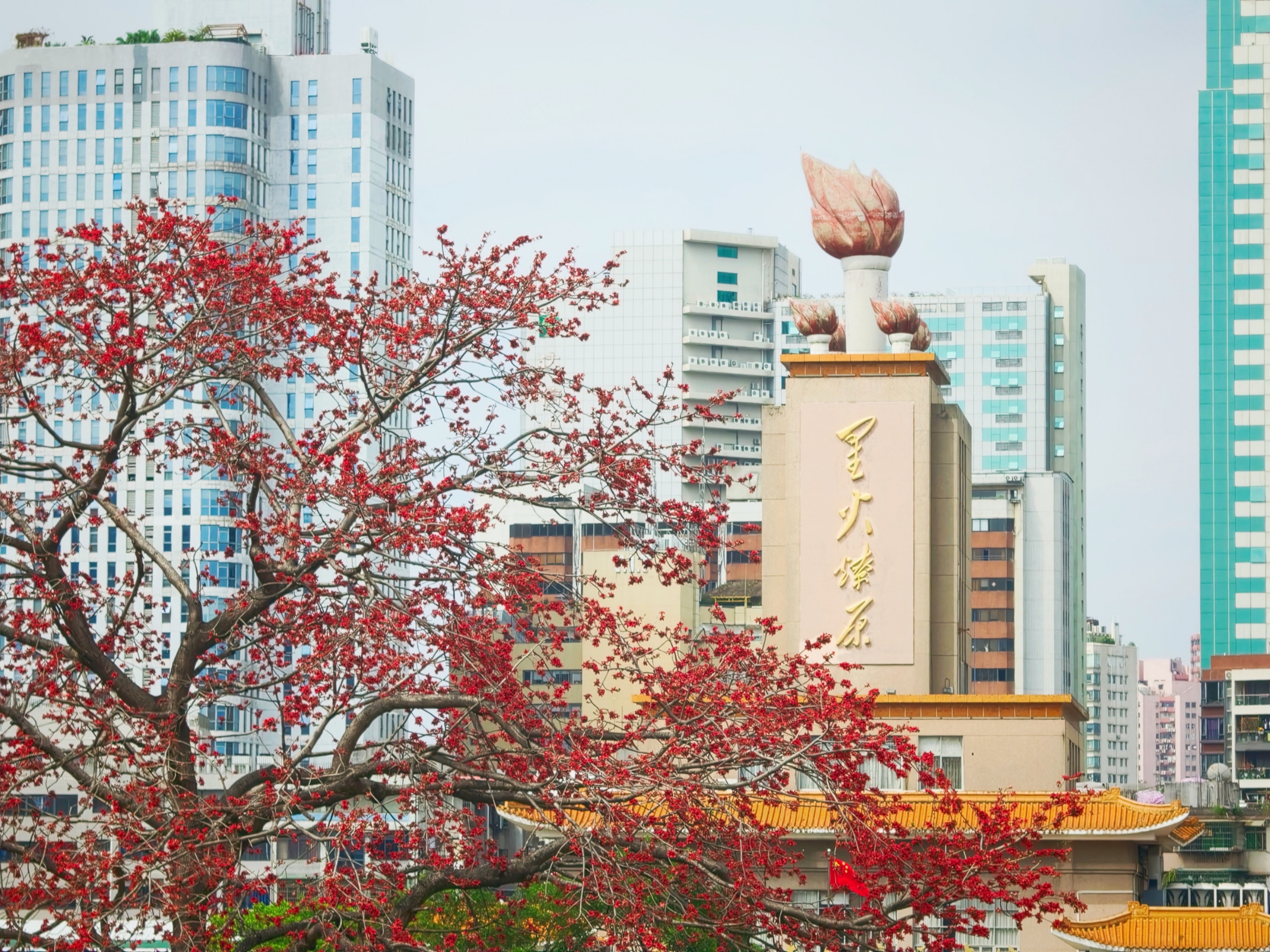 英雄花開，共綻星火。人民網記者 王雅蝶攝