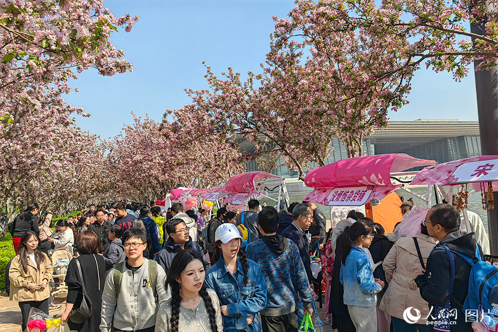 2026年4月4日，游客在天津文化中心海棠大道赏花踏春。人民网记者 崔新耀摄