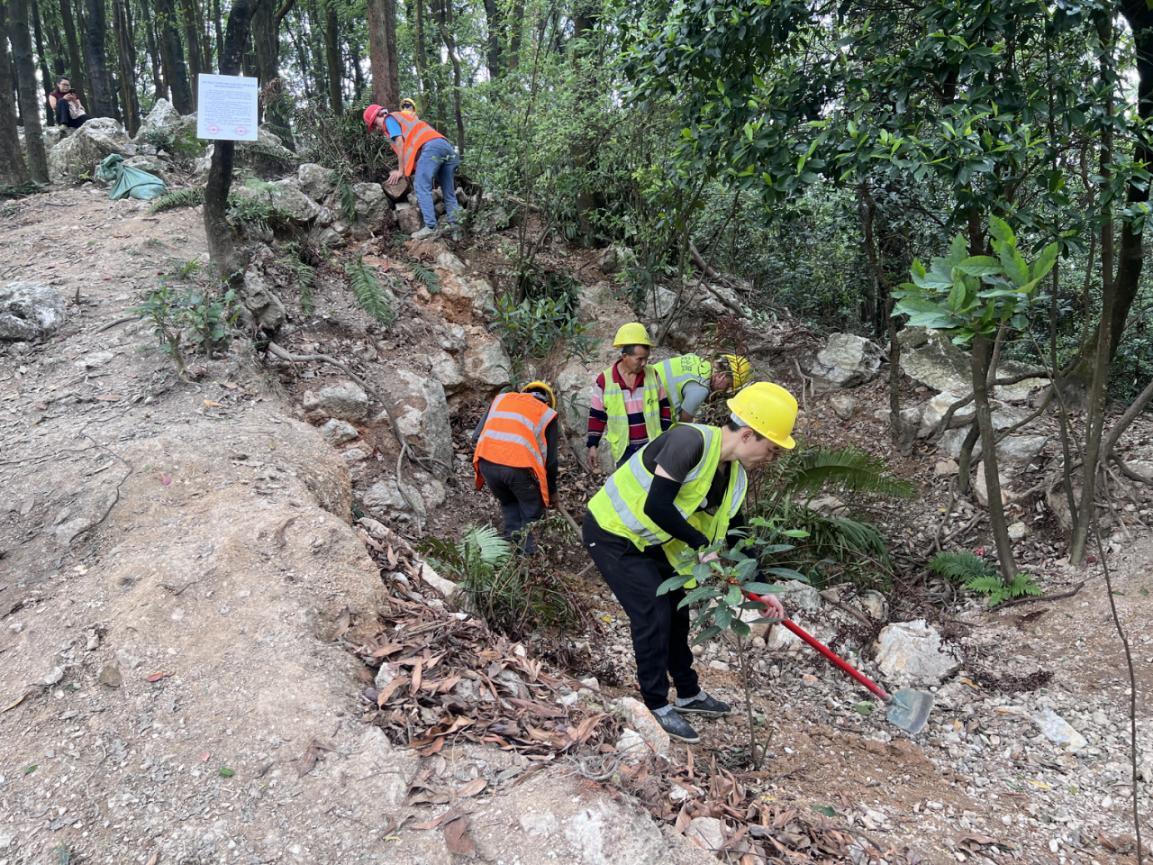 针对暹岗大山沿线采挖形成的坑洞，工作人员开展回填复绿。受访者供图