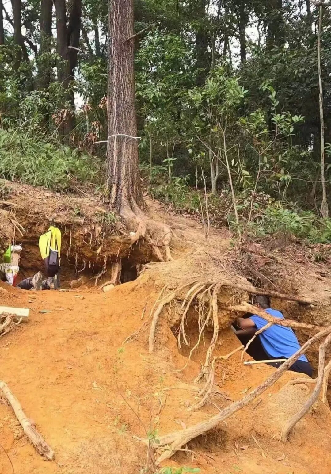 游客在暹岗大山“采石挖矿”。受访者供图