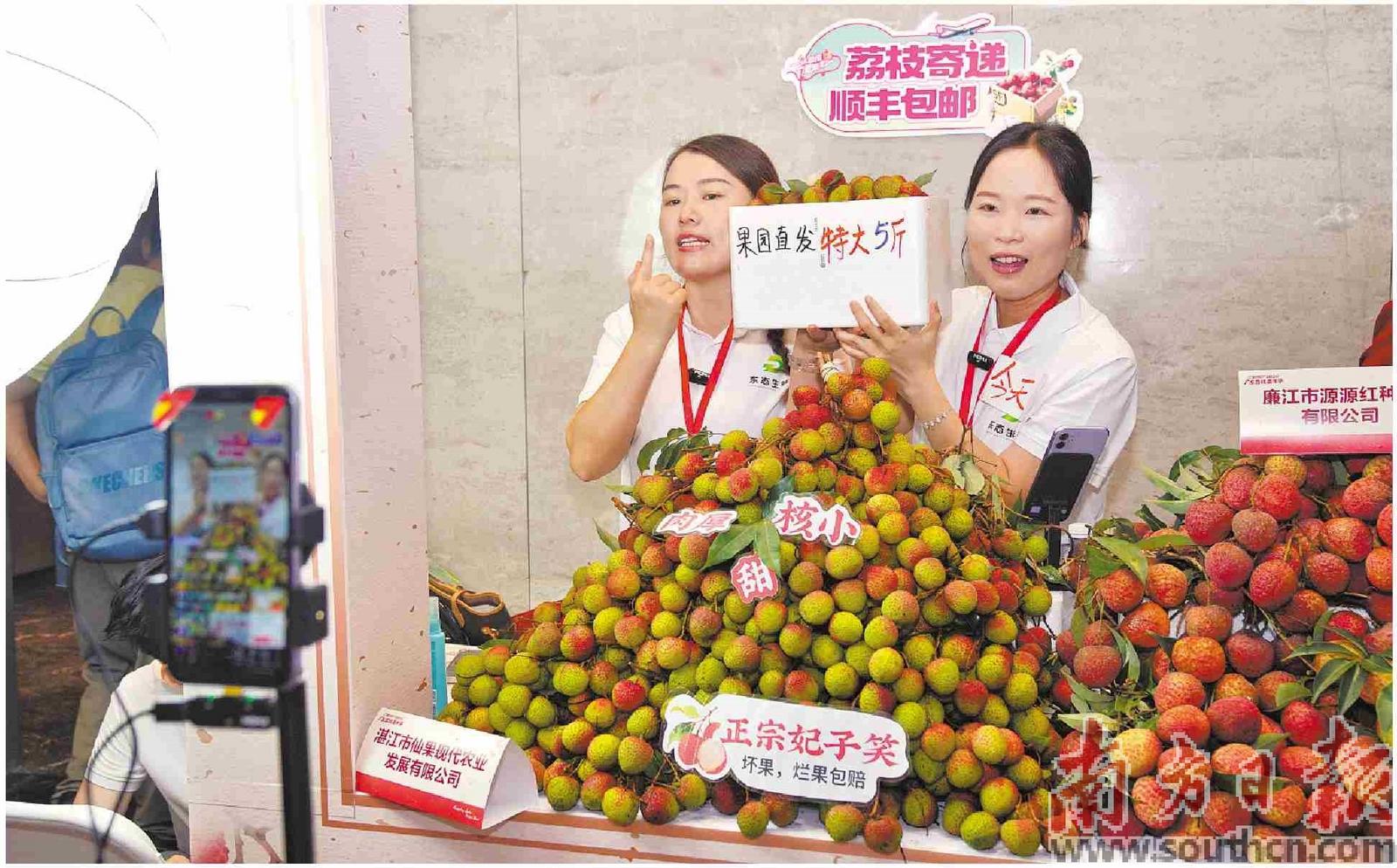 企业在活动现场直播带货，推销新鲜荔枝。南方日报记者 石磊摄