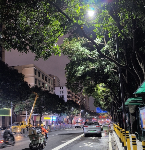 改造后的路灯。禅城区城市管理和综合执法局供图
