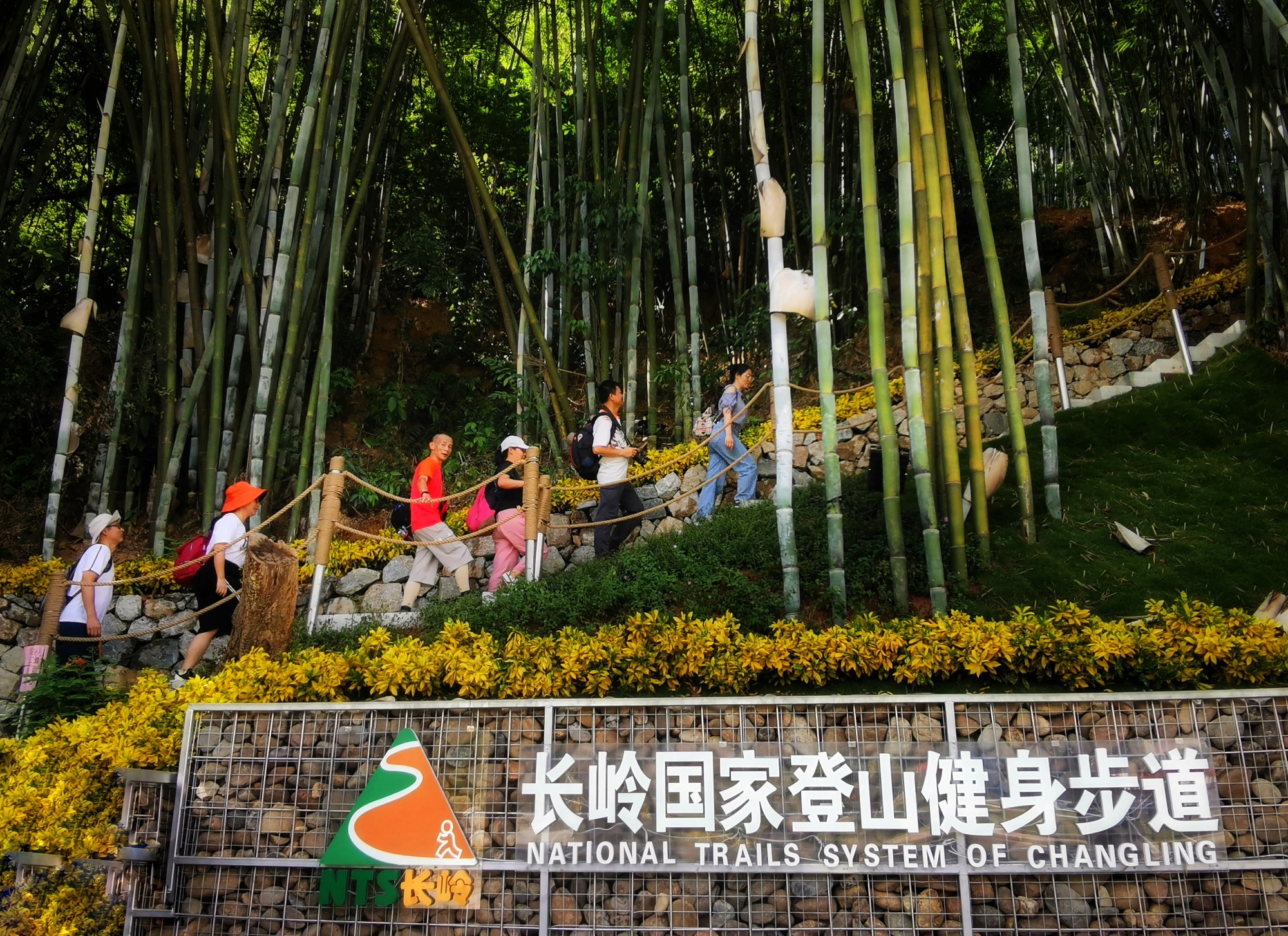 长岭国家登山健身步道吸引市民游客打卡。