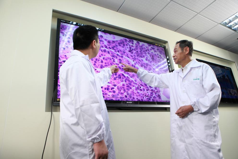 病理医生团队通过数字病理系统共同研判病理切片，为精准诊断提供专业支撑。金域医学供图