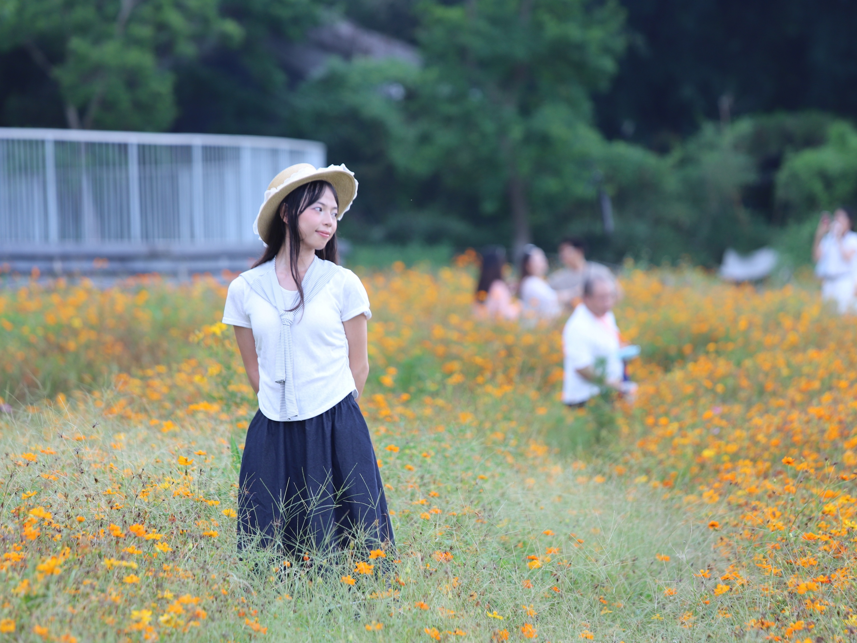 游客漫步海珠湿地，邂逅金色花海。人民网记者 王雅蝶摄