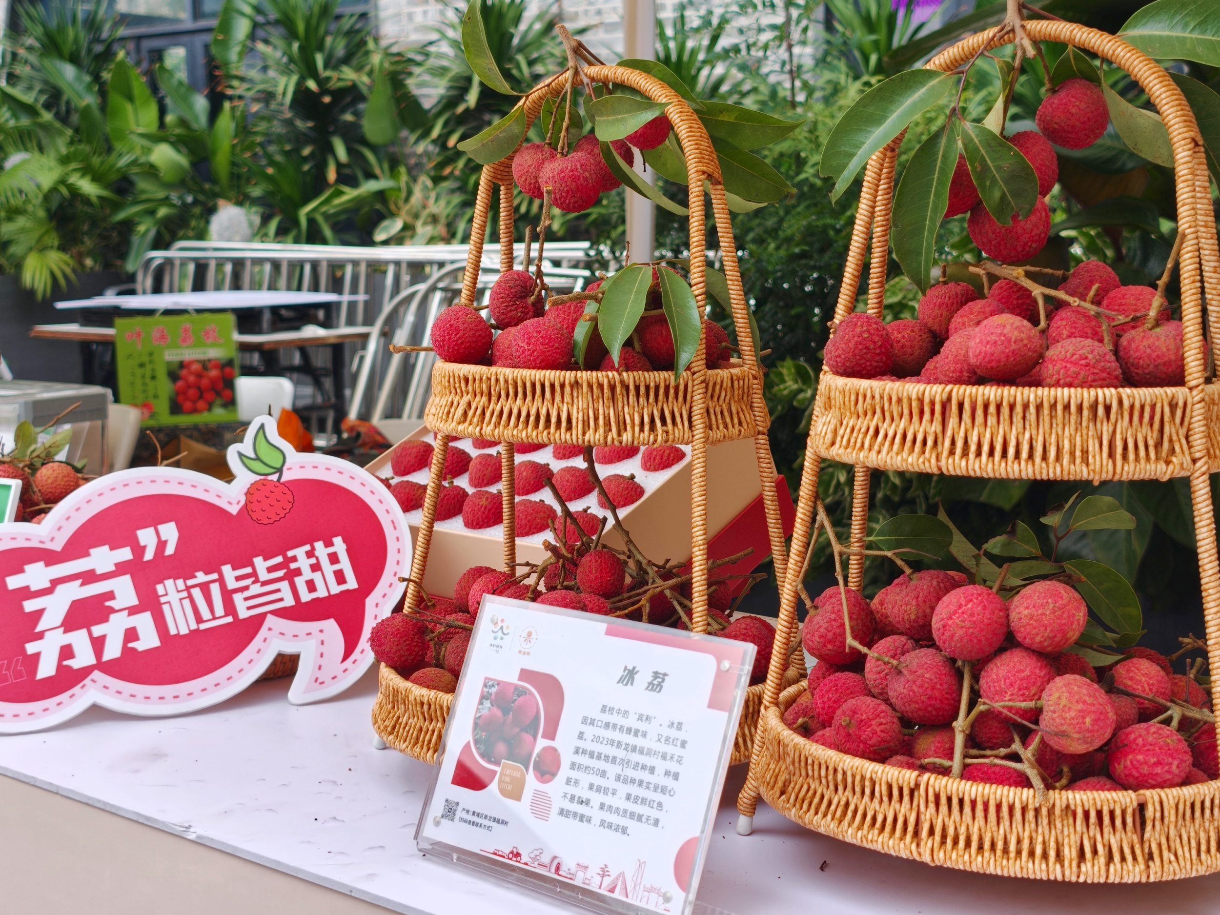 活动现场展出广州市黄埔区的冰荔，清甜带蜜味。人民网记者 王雅蝶摄