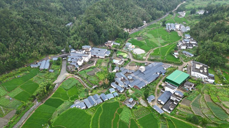 新白村航拍，一幅乡村画卷在眼前展开。人民网记者 李昊洋摄