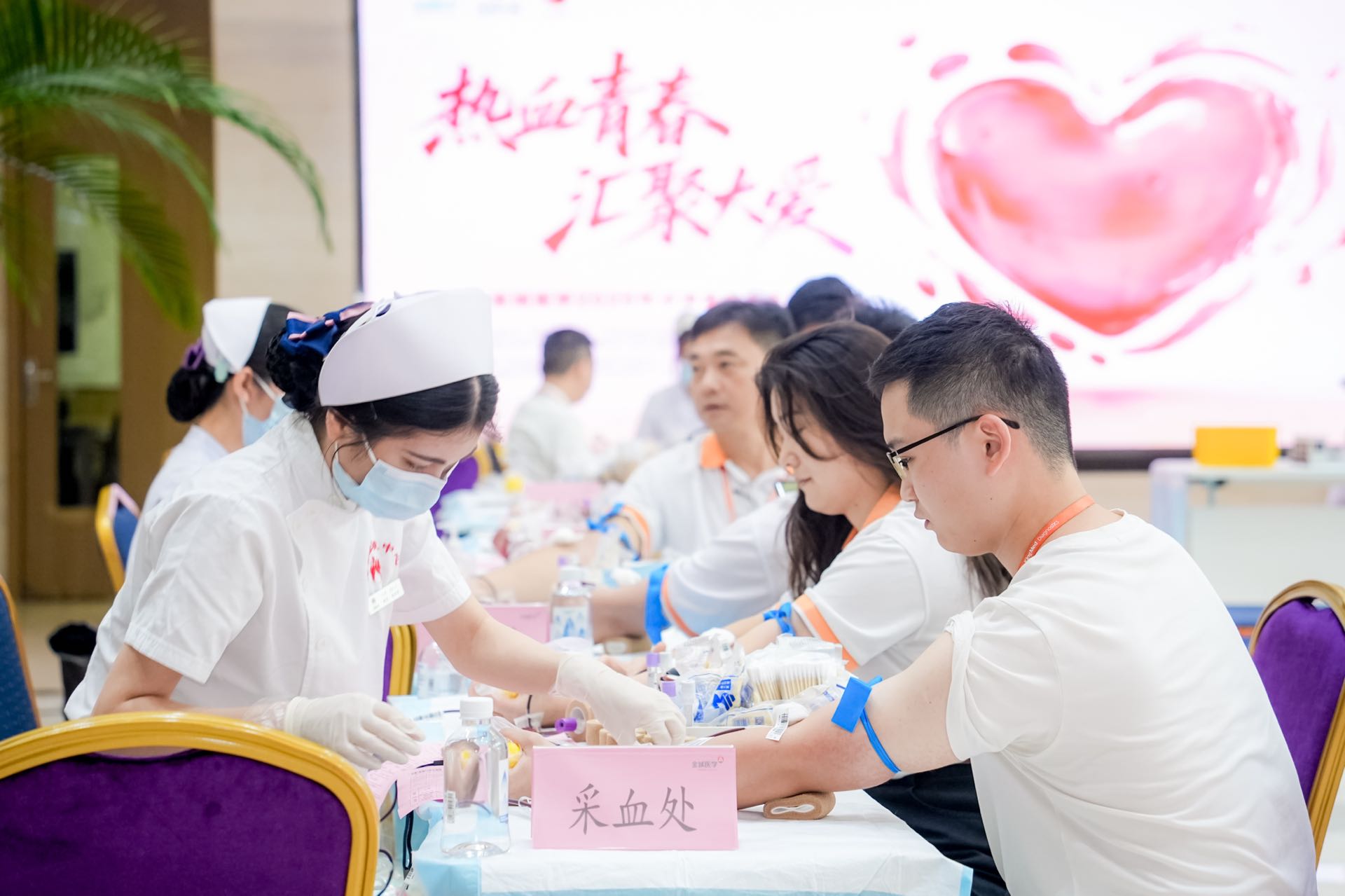 献血公益活动采血处。金域医学供图