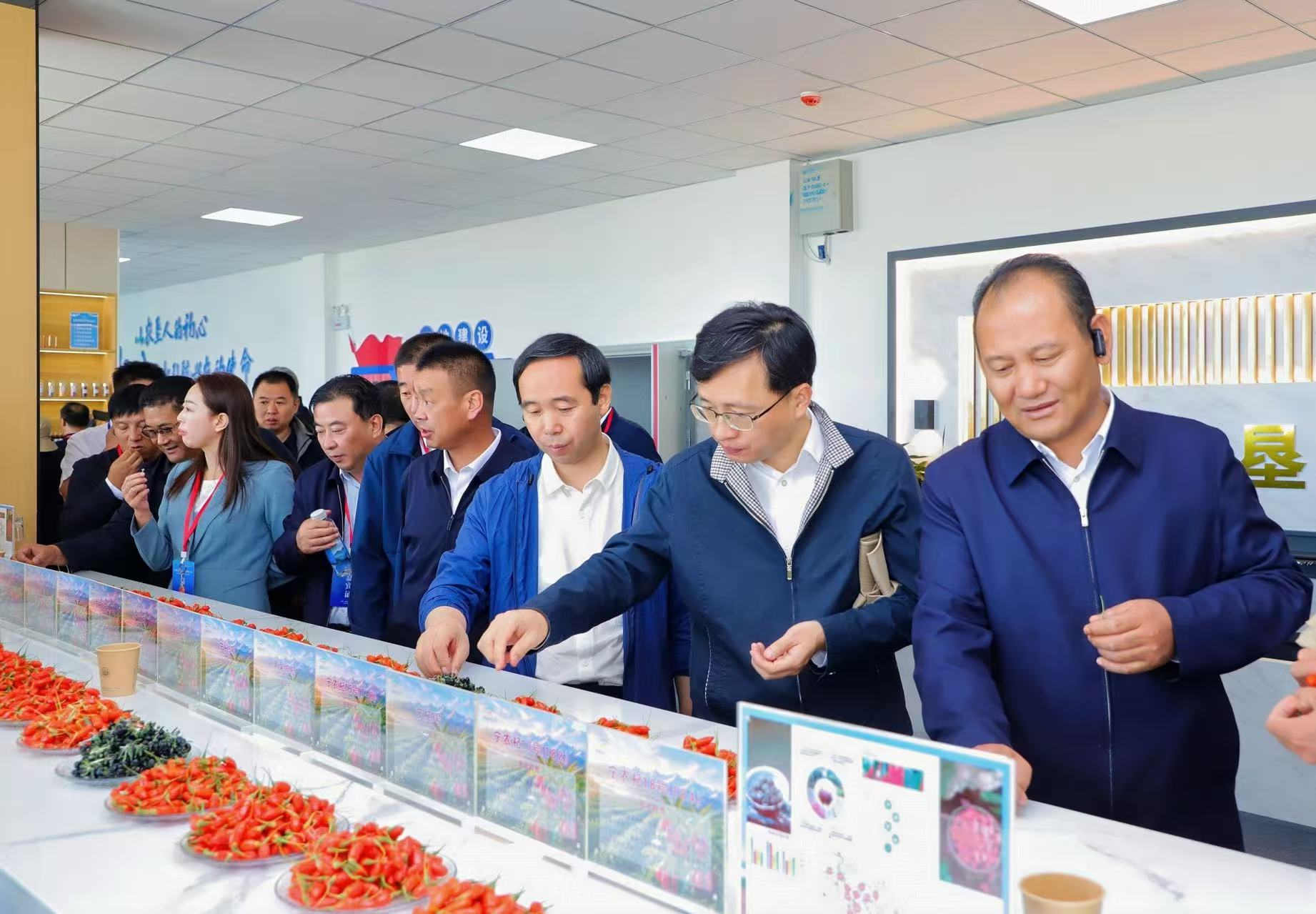 2026年柴達木枸杞產銷對接會啟幕 高原“紅果”乘風拓市正當時