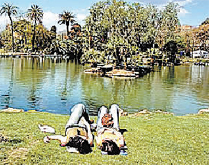 冬日晒太阳 胜似喝参汤