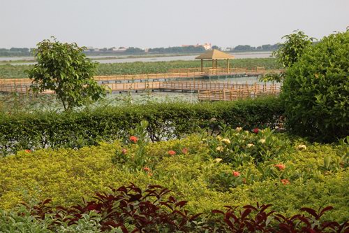 网媒参观广州南沙湿地公园 欣赏旖旎风光