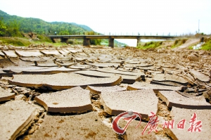 清明时节未见雨 梅州八镇旱情急