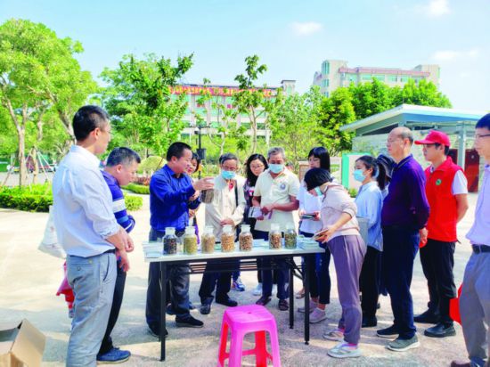     市民在惠州植物園參觀特色南藥，體驗中醫問診。 惠州日報記者楊熠 攝