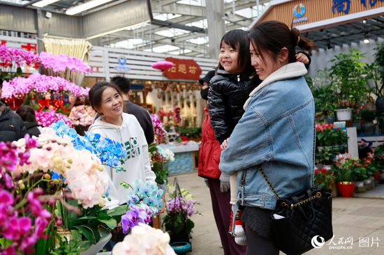 2024年1月30日，春節期間，天津市民在西青區中北鎮曹庄花卉市場選購心怡的鮮花。人民網記者 崔新耀攝